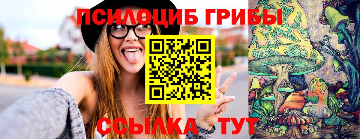 Азнакаево  Галлюциногенные грибы Psilocybe  Вход с VPN 