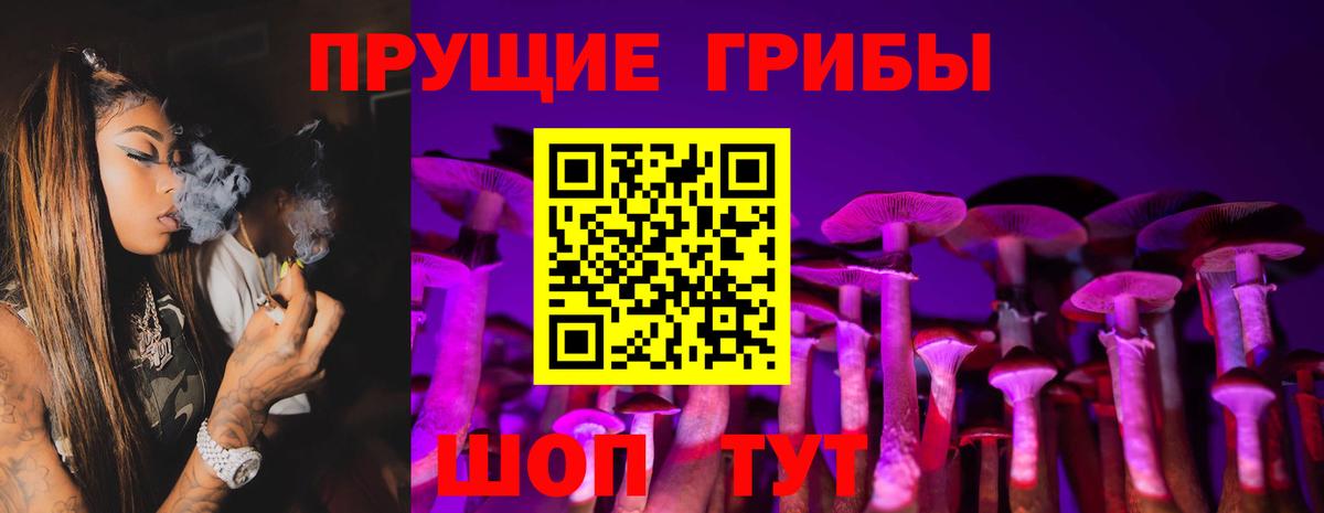 Псилоцибиновые грибы мицелий Азнакаево